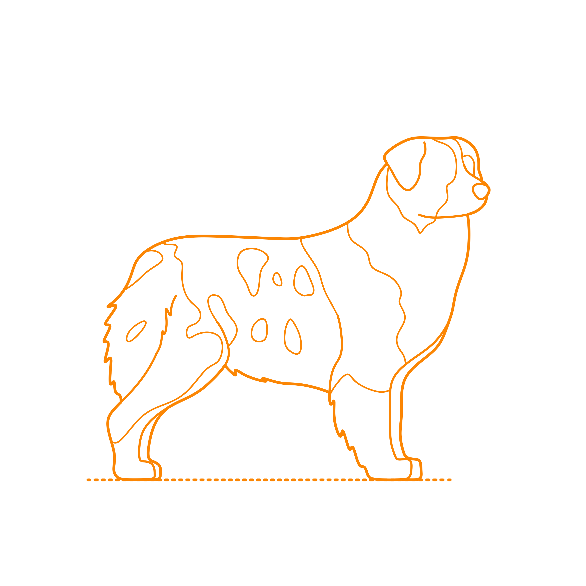 Animals Dogs Australian Shepherd Contour Svg Vector Free Vectors
